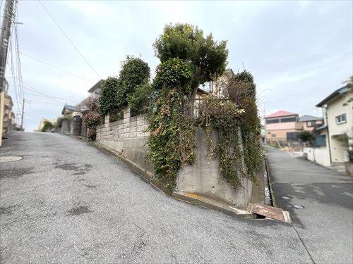 現地写真⑦2026年3月撮影