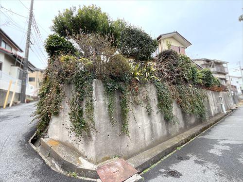 現地写真⑨2026年3月撮影