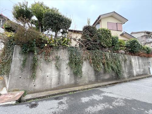 現地写真⑩2026年3月撮影