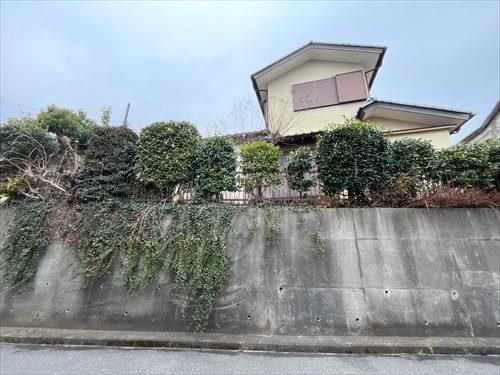 現地写真⑪2026年3月撮影