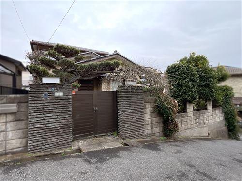 現地写真④2026年3月撮影