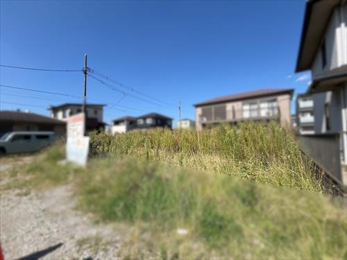 現地（2026年10月撮影）