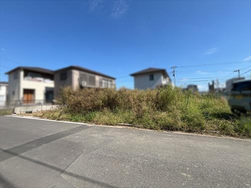現地（2026年10月撮影）