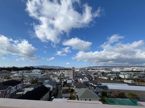 現地写真（2025年12月撮影）