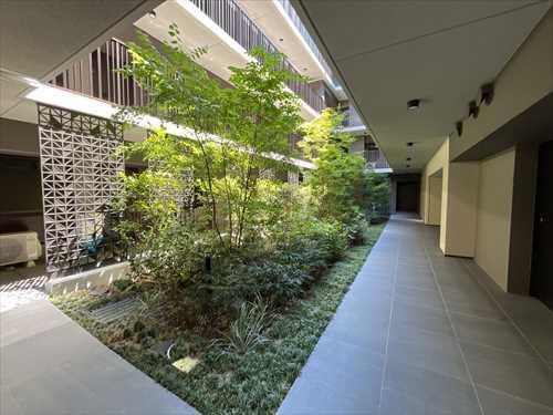 中庭(マンション共用部分)