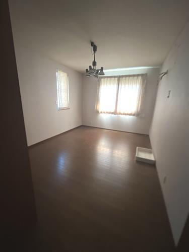 現地写真（2025年10月撮影）