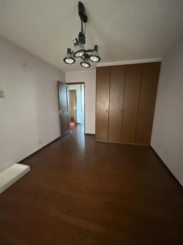 現地写真（2025年10月撮影）