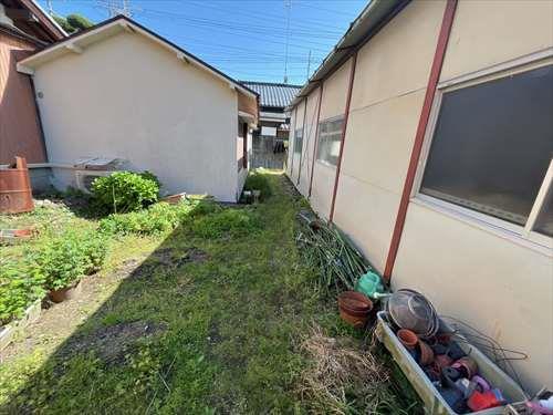 現地写真(2026年４月撮影)