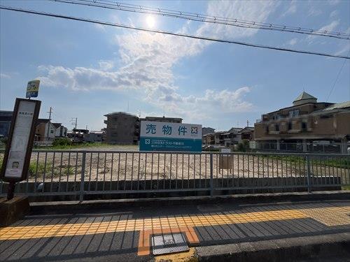 現地写真③
