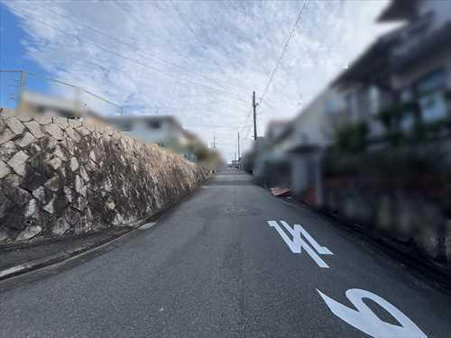 現地南側道路①