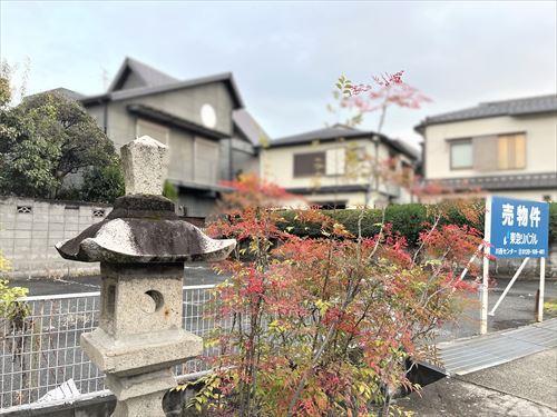 現地写真（2025年11月撮影）