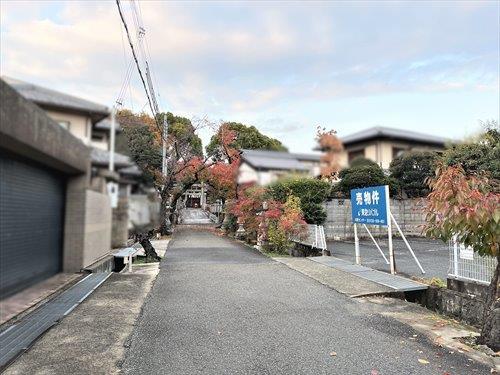 前面道路（2025年11月撮影）