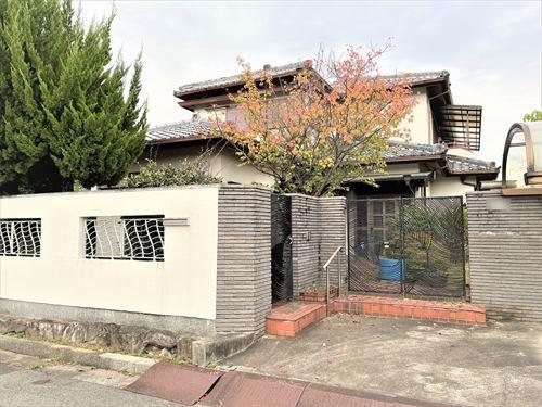 現地写真（2025年10月撮影）