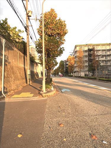 前面道路　南側