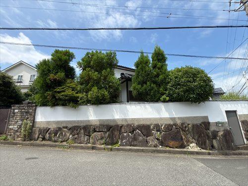 現地写真①