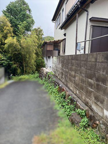 現地写真③（2026年9月撮影）
