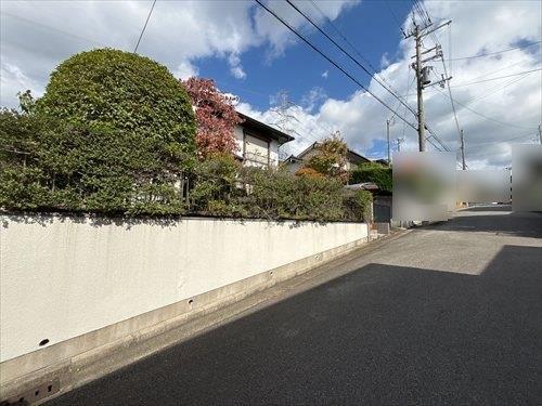 現地写真②