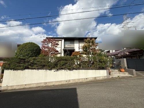 現地写真③