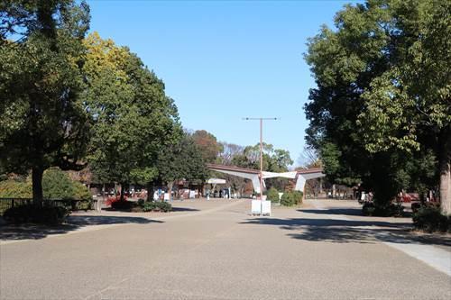 国営昭和記念公園2200m