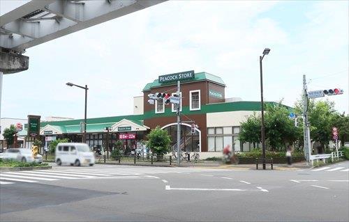 ピーコックストア玉川上水店(1300m)