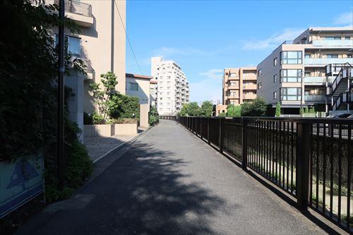 前面道路（東側）