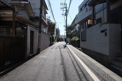 前面道路-1(2024年10月撮影)