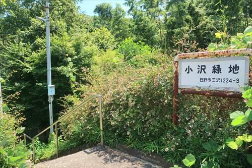 小沢緑地480m 小沢緑地480m