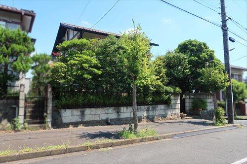 現地(2025年7月撮影) 現地(2025年7月撮影)