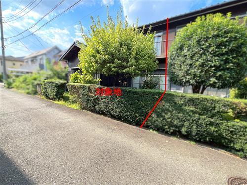 現地写真（2025年9月撮影）