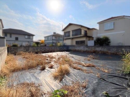 現地(2025年12月撮影)