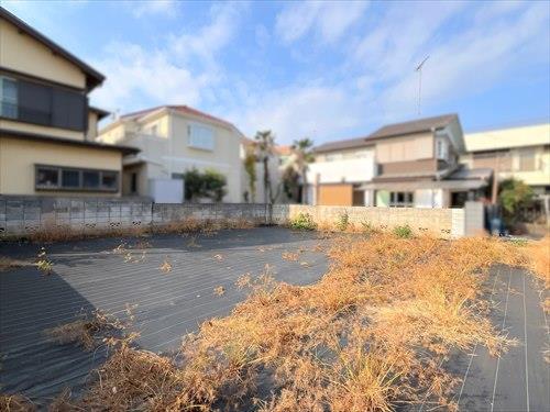 現地(2025年12月撮影)