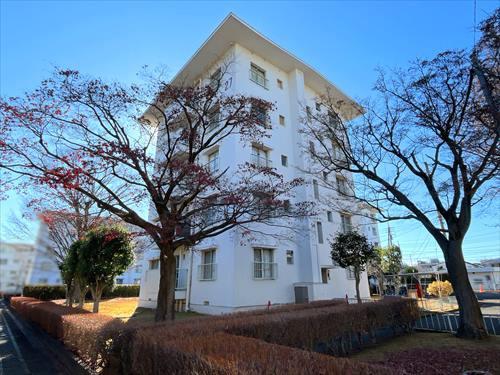 現地(2025年12月撮影)