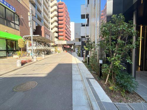 前面道路(西側)