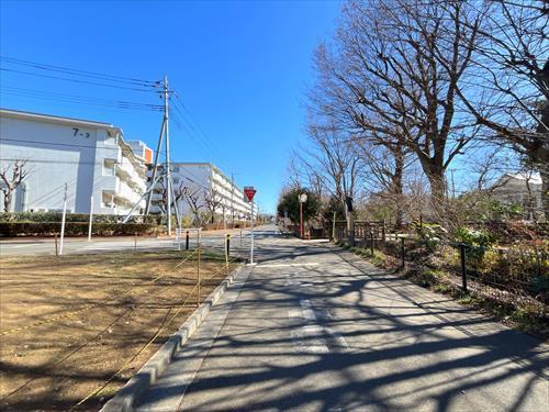 前面道路(南西側)