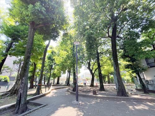 弦巻どんぐり山公園(220m)