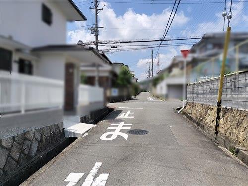 南側道路