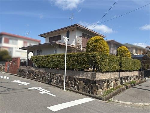 南西側より撮影