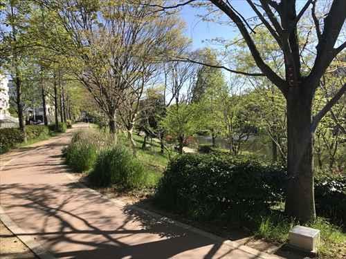 上の池公園 徒歩25分