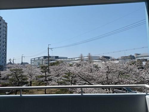 バルコニー眺望（2026年4月撮影）