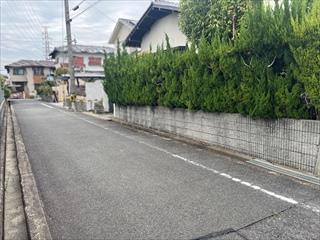 前面道路1