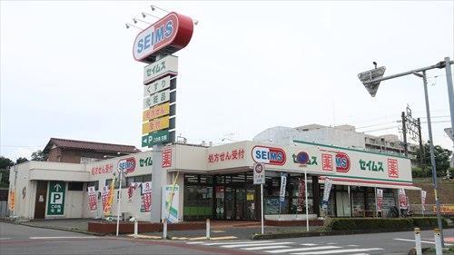 ドラッグセイムス柳瀬川店 760ｍ