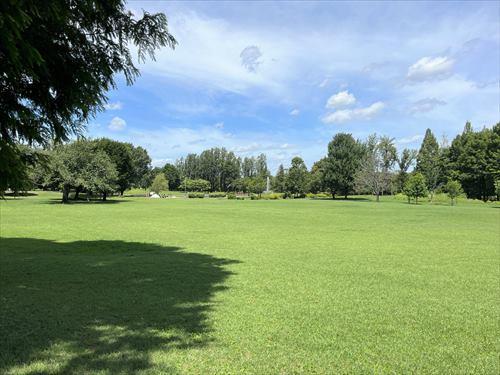 彩の森入間公園 1200ｍ