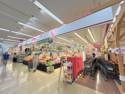 ロピア東村山島忠ホームズ店 810ｍ