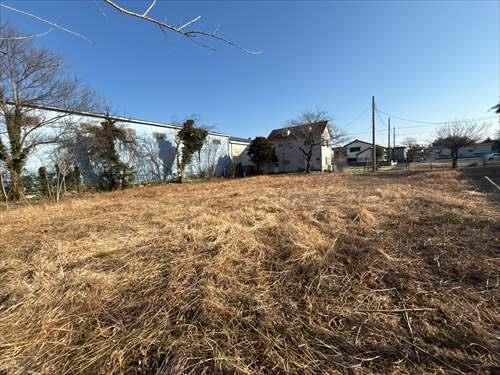 現地写真【2026年2月撮影】