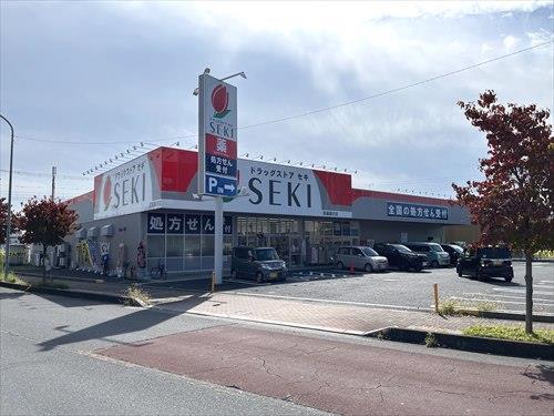 ドラッグストアセキ:770m