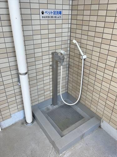 ペット足洗場