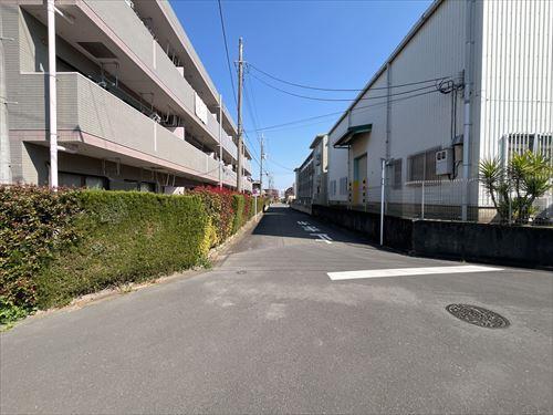 北側前面道路（2026年3月撮影）