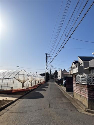 南側道路（2026年3月撮影）