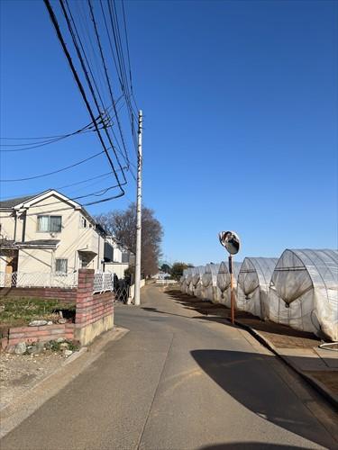 南側道路（2026年3月撮影）