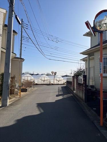 南東側道路（2026年3月撮影）